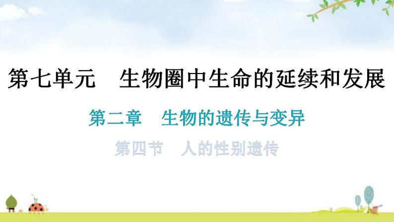 人教版八年级生物下册第七单元第二章第四节人的性别遗传教学课件第1页