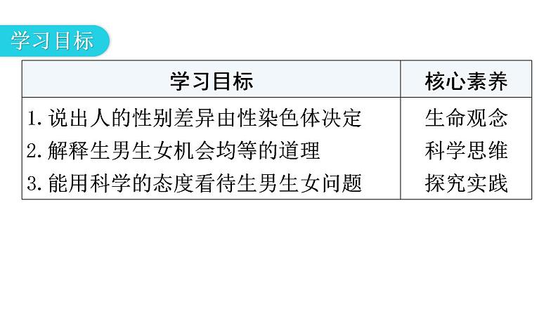 人教版八年级生物下册第七单元第二章第四节人的性别遗传教学课件第3页