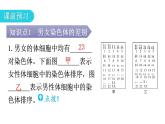 人教版八年级生物下册第七单元第二章第四节人的性别遗传教学课件