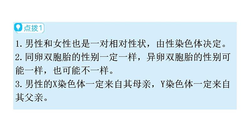 人教版八年级生物下册第七单元第二章第四节人的性别遗传教学课件第5页