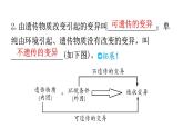 人教版八年级生物下册第七单元第二章第五节生物的变异教学课件