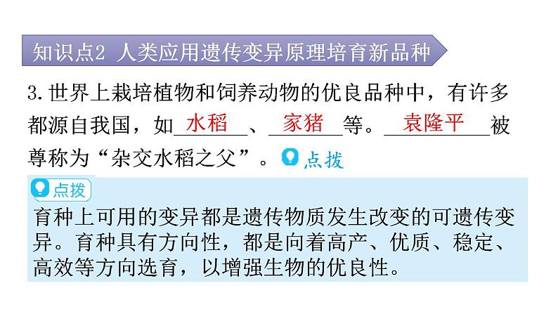 人教版八年级生物下册第七单元第二章第五节生物的变异教学课件第7页