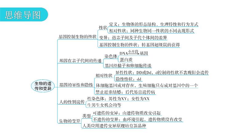 人教版八年级生物下册第七单元第二章章末总结教学课件03