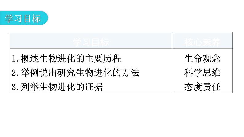 人教版八年级生物下册第七单元第三章第二节生物进化的历程教学课件03