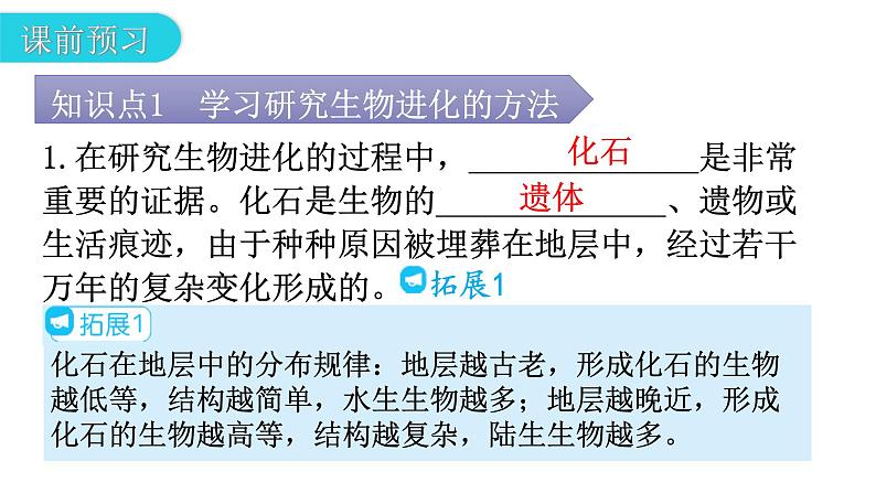 人教版八年级生物下册第七单元第三章第二节生物进化的历程教学课件04