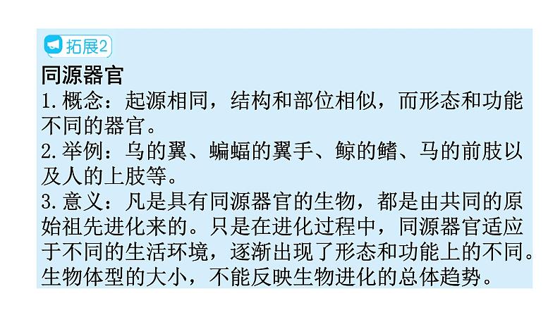 人教版八年级生物下册第七单元第三章第二节生物进化的历程教学课件06