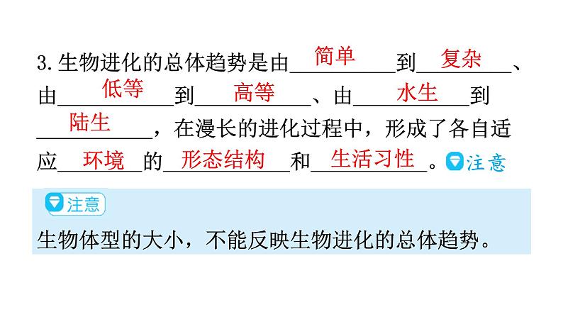 人教版八年级生物下册第七单元第三章第二节生物进化的历程教学课件08