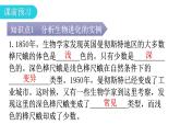 人教版八年级生物下册第七单元第三章第三节生物进化的原因教学课件