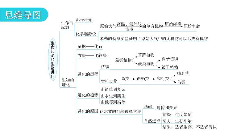 人教版八年级生物下册第七单元第三章章末总结教学课件03