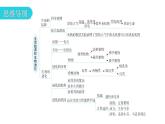 人教版八年级生物下册第七单元第三章章末总结教学课件