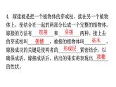 人教版八年級(jí)生物下冊(cè)第七單元第一章生物的生殖和發(fā)育練習(xí)課件