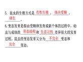 人教版八年級(jí)生物下冊(cè)第七單元第一章生物的生殖和發(fā)育練習(xí)課件