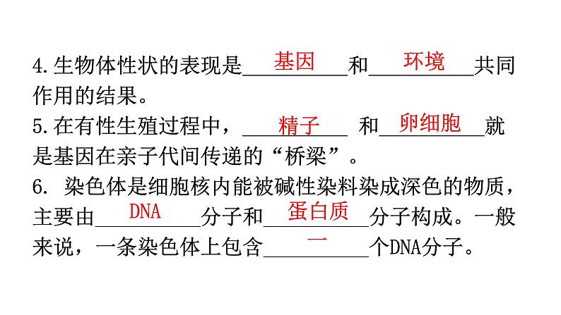 人教版八年级生物下册第七单元第二章生物的遗传与变异练习课件03