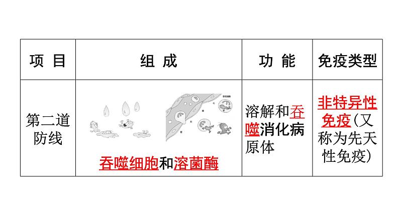 人教版八年级生物下册第八单元第一章第二节免疫与计划免疫练习课件03