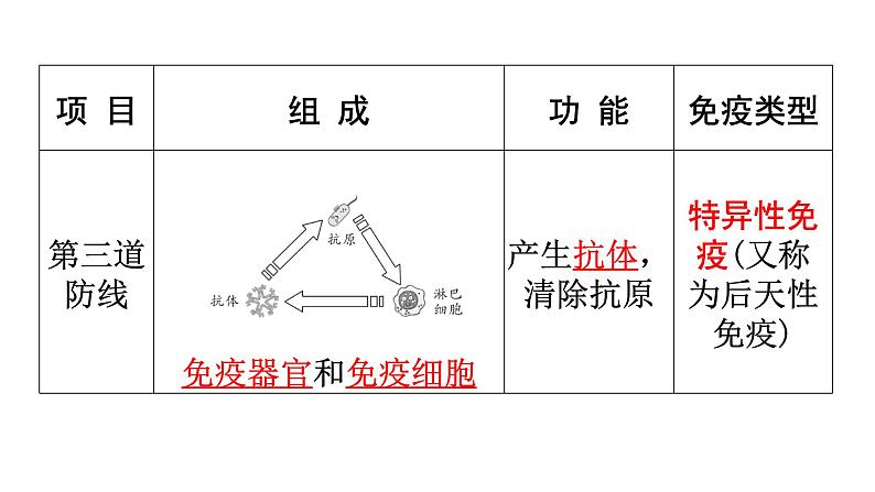 人教版八年级生物下册第八单元第一章第二节免疫与计划免疫练习课件04