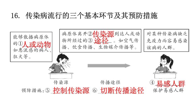 人教版八年级生物下册第八单元健康地生活课件02