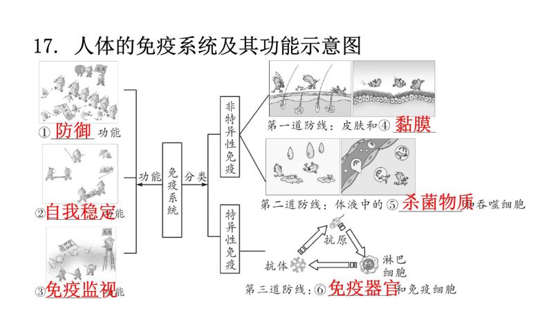 人教版八年级生物下册第八单元健康地生活课件03