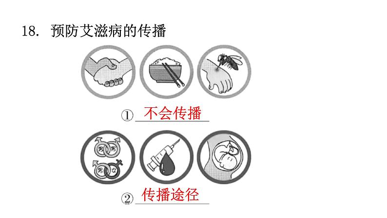 人教版八年级生物下册第八单元健康地生活课件04