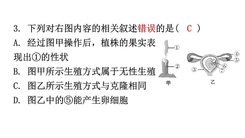 人教版八年级生物下册第七单元过关训练课件04