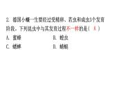 人教版八年级生物下册第七单元第一章第二节昆虫的生殖和发育分层作业课件