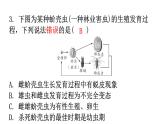人教版八年级生物下册第七单元第一章第二节昆虫的生殖和发育分层作业课件