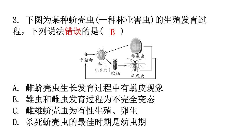 人教版八年级生物下册第七单元第一章第二节昆虫的生殖和发育分层作业课件第4页