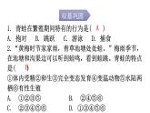 人教版八年级生物下册第七单元第一章第三节两栖动物的生殖和发育分层作业课件