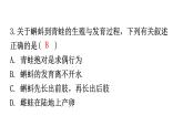 人教版八年级生物下册第七单元第一章第三节两栖动物的生殖和发育分层作业课件