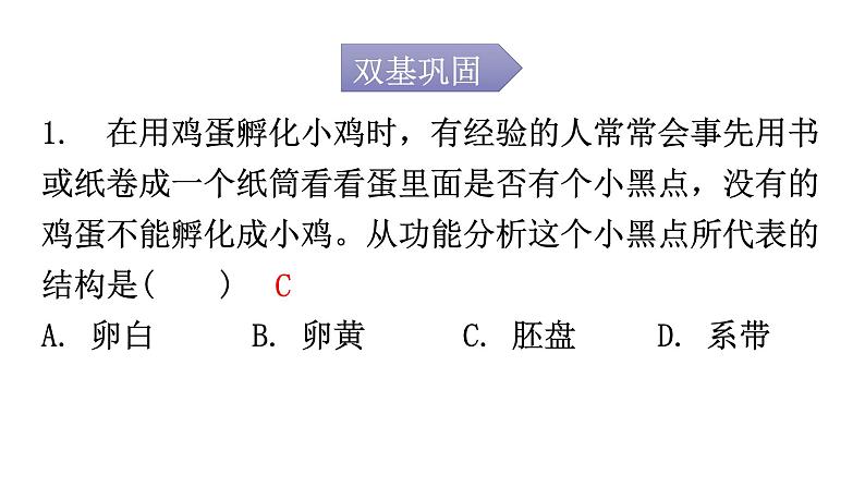 人教版八年级生物下册第七单元第一章第四节鸟的生殖和发育分层作业课件02