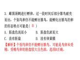 人教版八年级生物下册第七单元第一章第四节鸟的生殖和发育分层作业课件