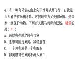 人教版八年级生物下册第七单元第一章第四节鸟的生殖和发育分层作业课件