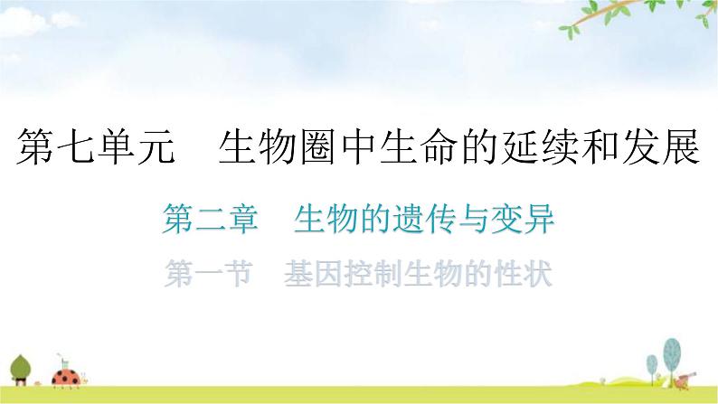 人教版八年级生物下册第七单元第二章第一节基因控制生物的性状分层作业课件01