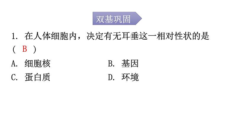 人教版八年级生物下册第七单元第二章第一节基因控制生物的性状分层作业课件02