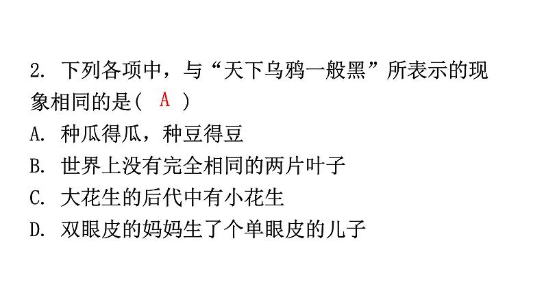 人教版八年级生物下册第七单元第二章第一节基因控制生物的性状分层作业课件03