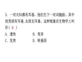 人教版八年级生物下册第七单元第二章第一节基因控制生物的性状分层作业课件
