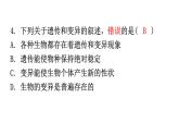 人教版八年级生物下册第七单元第二章第一节基因控制生物的性状分层作业课件