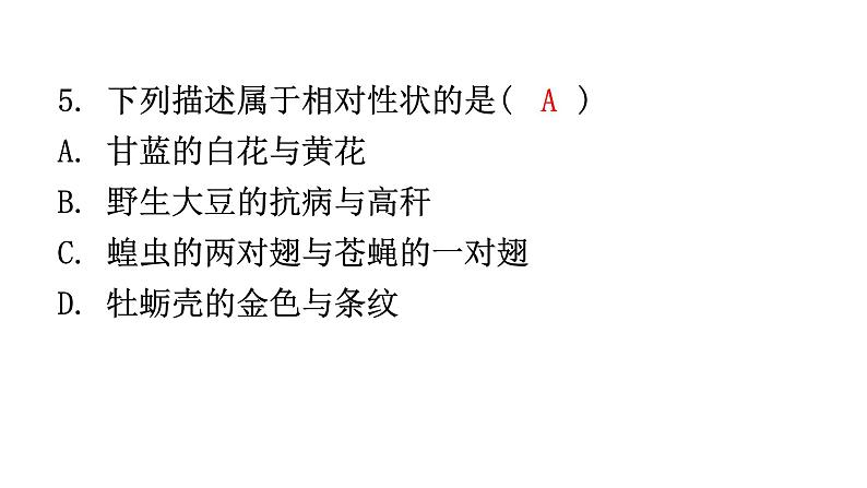 人教版八年级生物下册第七单元第二章第一节基因控制生物的性状分层作业课件06