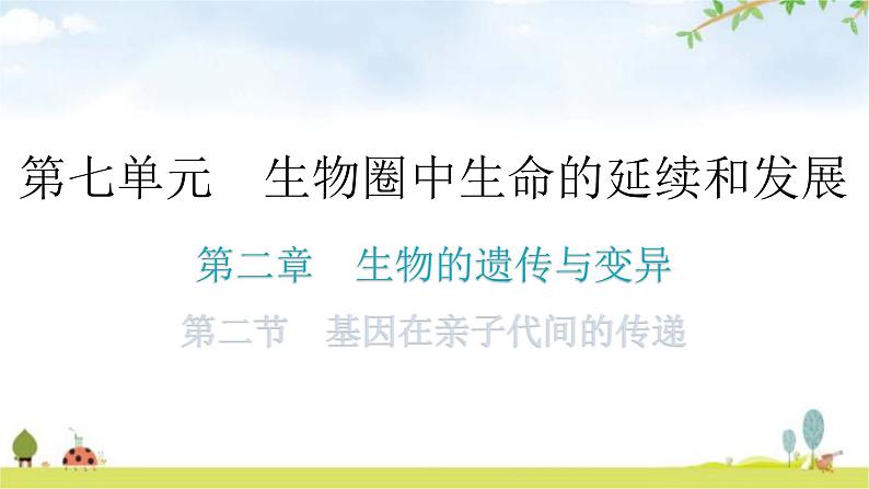 人教版八年级生物下册第七单元第二章第二节基因在亲子代间的传递分层作业课件第1页