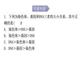 人教版八年级生物下册第七单元第二章第二节基因在亲子代间的传递分层作业课件