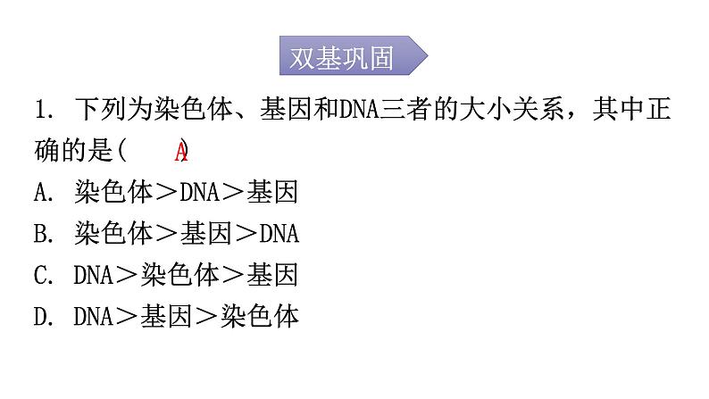 人教版八年级生物下册第七单元第二章第二节基因在亲子代间的传递分层作业课件第2页