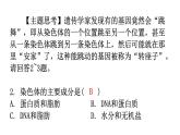 人教版八年级生物下册第七单元第二章第二节基因在亲子代间的传递分层作业课件