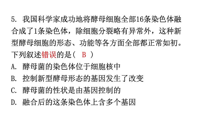 人教版八年级生物下册第七单元第二章第二节基因在亲子代间的传递分层作业课件第6页