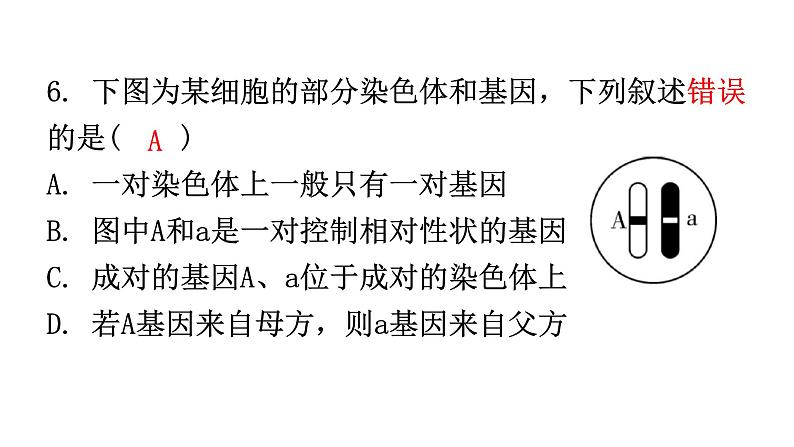 人教版八年级生物下册第七单元第二章第二节基因在亲子代间的传递分层作业课件第7页