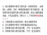 人教版八年级生物下册第七单元第二章第三节基因的显性和隐性分层作业课件