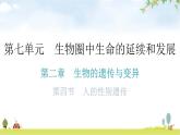 人教版八年级生物下册第七单元第二章第四节人的性别遗传分层作业课件