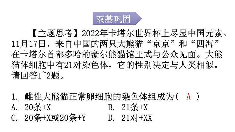 人教版八年级生物下册第七单元第二章第四节人的性别遗传分层作业课件02