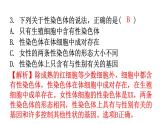 人教版八年级生物下册第七单元第二章第四节人的性别遗传分层作业课件