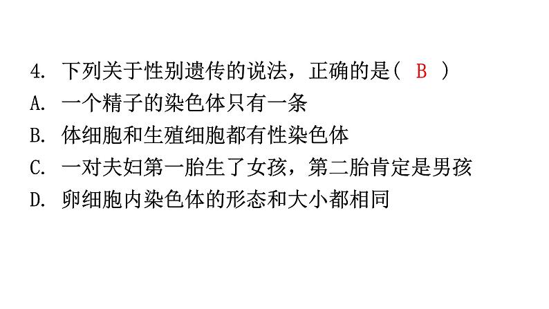 人教版八年级生物下册第七单元第二章第四节人的性别遗传分层作业课件05