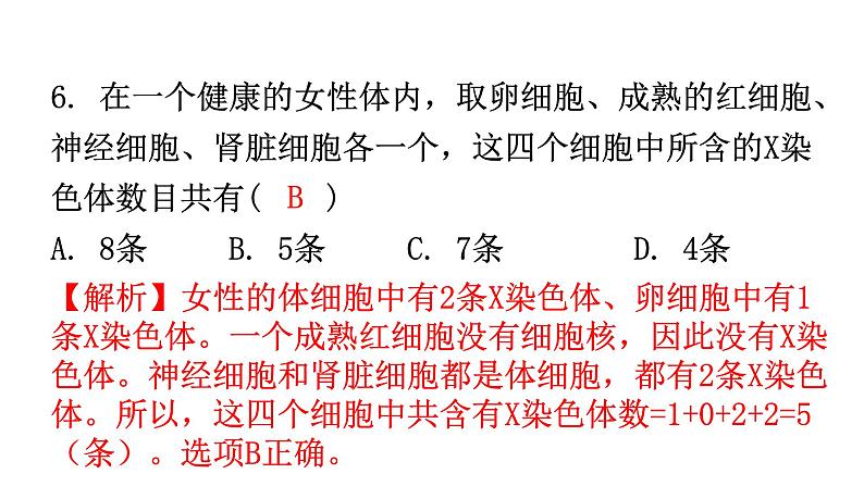 人教版八年级生物下册第七单元第二章第四节人的性别遗传分层作业课件07