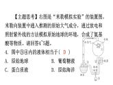 人教版八年级生物下册第七单元第三章第一节地球上生命的起源分层作业课件